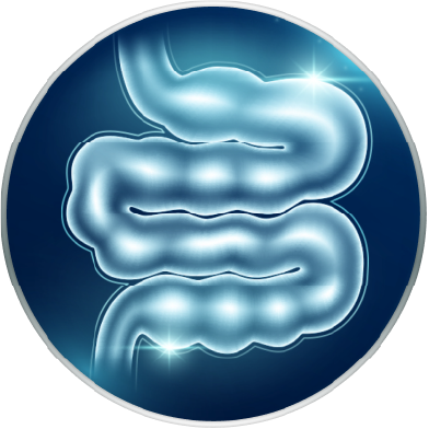 Producto Adicional 1