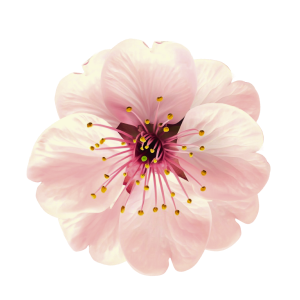 Producto Adicional 1